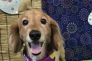 8月のお友達☆