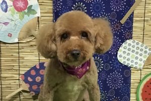 8月のお友達☆