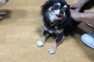 お泊まり中☆