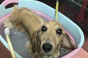 ８月のお友達☆