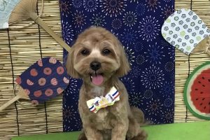 8月のお友達☆