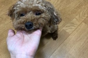 お泊まり中☆