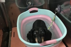 ８月のお友達☆