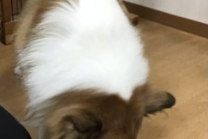 お泊まり中☆