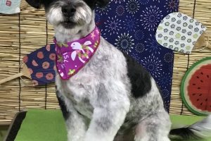８月のお友達☆