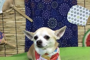 ８月のお友達☆