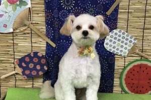 ８月のお友達☆