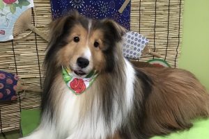 ８月のお友達☆