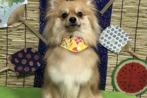 ８月のお友達☆