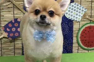 8月のお友達☆