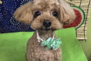 8月のお友達☆