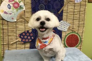 8月のお友達☆