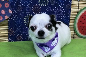 8月のお友達☆