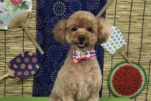 8月のお友達☆