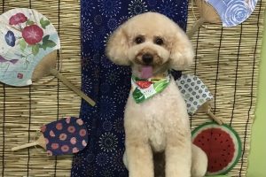 ８月のお友達☆