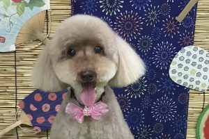 8月のお友達☆