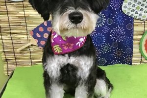 8月のお友達☆