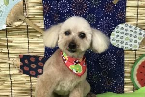 8月のお友達☆
