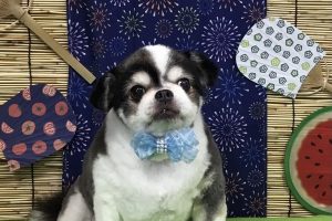 8月のお友達☆