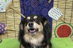 8月のお友達☆