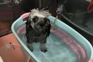 ８月のお友達☆