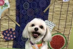 8月のお友達☆