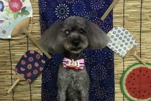 8月のお友達☆