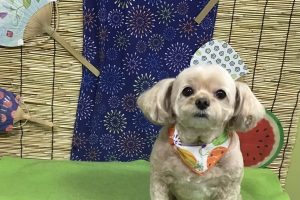 ８月のお友達☆