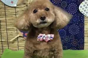 8月のお友達☆