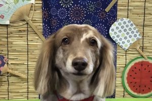 8月のお友達☆