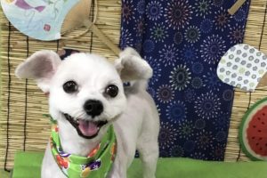 ８月のお友達☆