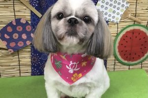 8月のお友達☆