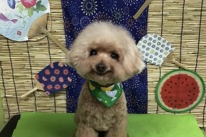 ８月のお友達☆