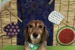 ８月のお友達☆