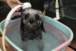 8月のお友達☆