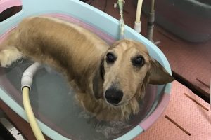 ８月のお友達☆
