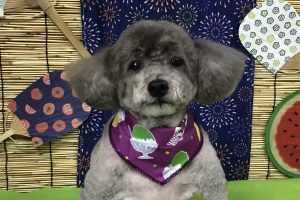 8月のお友達☆