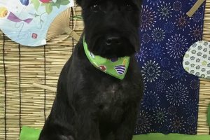 8月のお友達☆