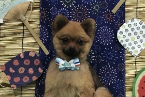 8月のお友達☆