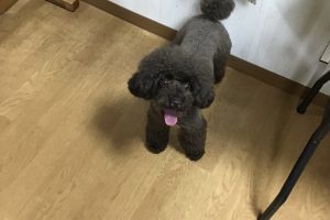 お泊まり中☆