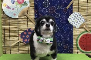 8月のお友達☆