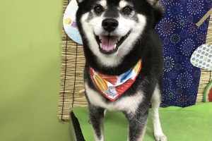 8月のお友達☆