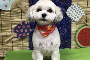 8月のお友達☆