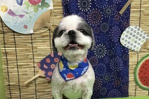 8月のお友達☆