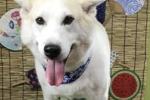８月のお友達☆