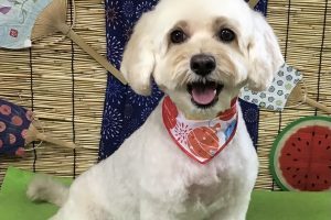 ８月のお友達☆