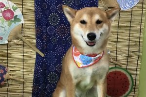 8月のお友達☆