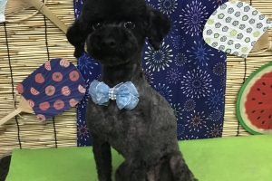 8月のお友達☆