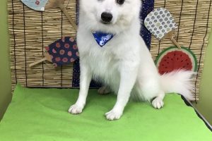 ８月のお友達☆