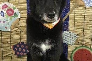８月のお友達☆